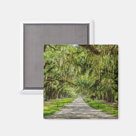 De prachtige plek van de eiken magneet (Voorkant / Achterkant)