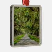 De prachtige plek van de eiken metalen ornament (Rechts)