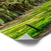 De prachtige plek van de eiken poster (Hoek)