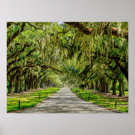 De prachtige plek van de eiken poster (Voorkant)