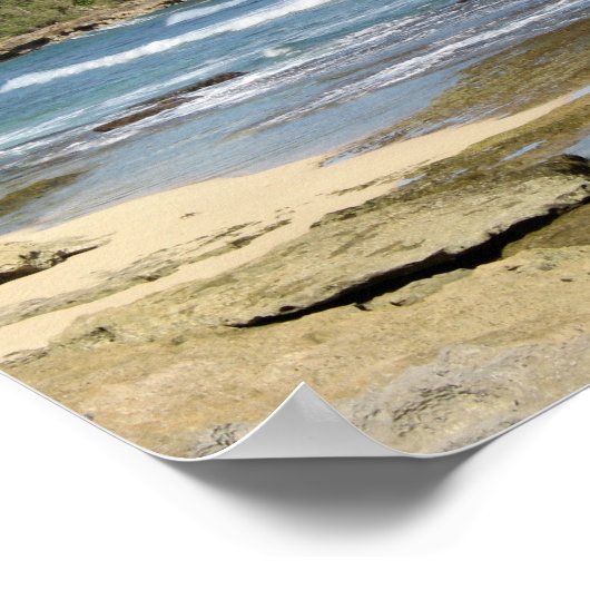 De prachtige schildpad in Oahu Hawaii Poster (Hoek)