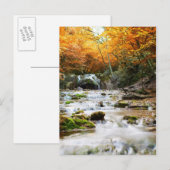 De prachtige waterval in het bos, herfst briefkaart (Voorkant / Achterkant)