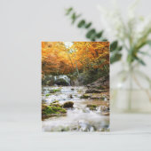 De prachtige waterval in het bos, herfst briefkaart (Staand voorkant)