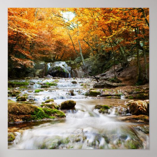 De prachtige waterval in het bos, herfst poster (Voorkant)