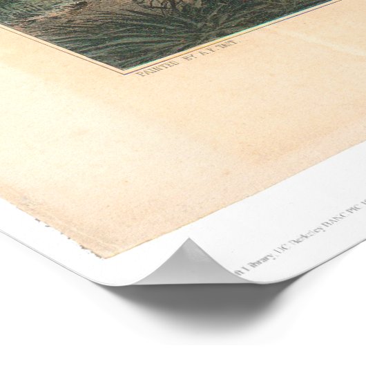 De Prairie Hunter: "One Rubbed Out!" (1364A) Poster (Hoek)