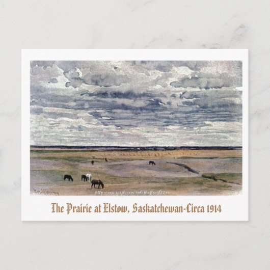 De prairie in Elstow, Saskatchewan-1914 Briefkaart (Voorkant)