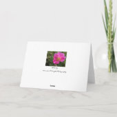 De prairie nam de Kaart van de Nota toe (Achterkant)