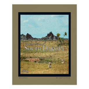 De Prairielanden van South Dakota Perfect Poster