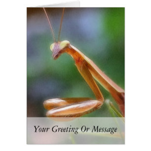 De Praying Mantis