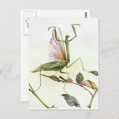 DE PRAYSEMMANTIS BRIEFKAART (Voorkant / Achterkant)