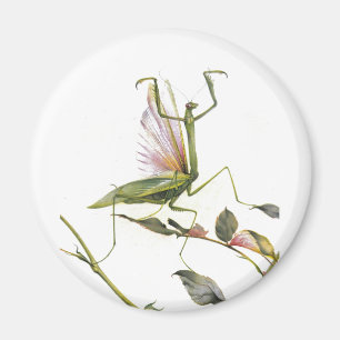 DE PRAYSEMMANTIS MAGNEET