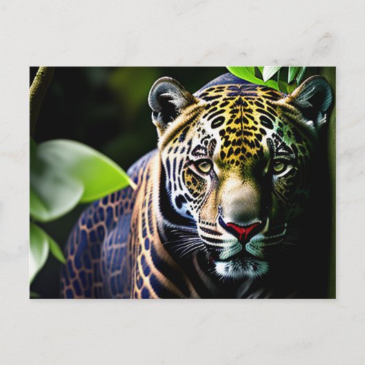 De Predator van het Oerwoud Jaguar - Fierce Briefkaart (Voorkant)