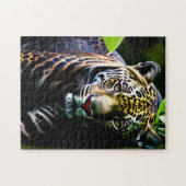 De Predator van het Oerwoud Jaguar - Fierce Legpuzzel (Horizontaal)