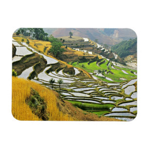 de prefectuur Azië, China, Yunnan, Yuxi; Yuanjian Magneet