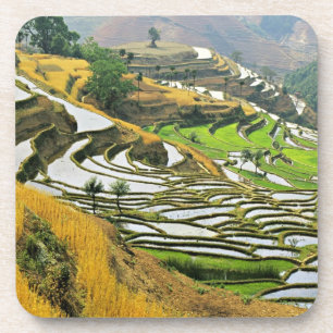 de prefectuur Azië, China, Yunnan, Yuxi; Yuanjiang Bier Onderzetter