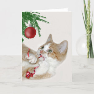 De pret van Kerstmis van de kat Feestdagen Kaart
