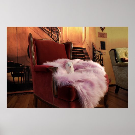 De prins poster (Voorkant)