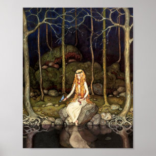De prinses in het bos poster