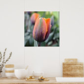 De prinses Irene Tulip Poster (Keuken)
