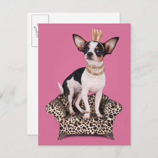 De Prinses van Chihuahua Briefkaart (Voorkant / Achterkant)