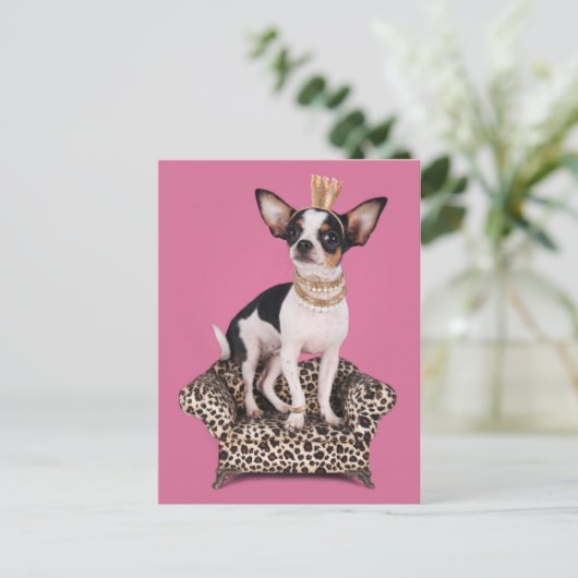 De Prinses van Chihuahua Briefkaart (Staand voorkant)