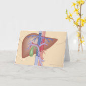 De Procedure van de Transplantatie van de lever Kaart (Gele Bloem)