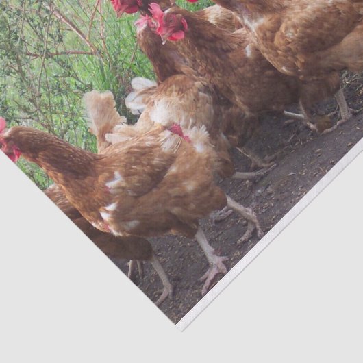 De Processie (van kippen) Tissuepapier (Detail)