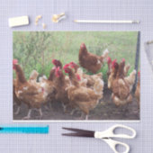 De Processie (van kippen) Tissuepapier (Craft)