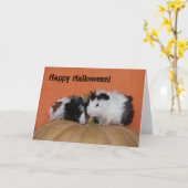 De Proefkonijnen van het baby, Gelukkig Halloween! Kaart (Gele Bloem)