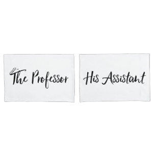 "De professor en zijn assistent" Kussensloop