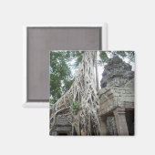 de prohm wortels magneet (Voorkant / Achterkant)