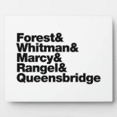 De projecten fotoplaat (Voorkant)