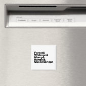 De projecten magneet (Insitu (Vaatwasser))