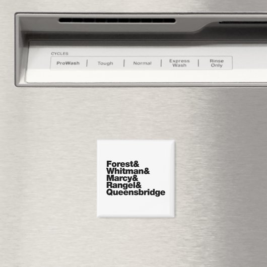 De projecten magneet (Insitu (Vaatwasser))