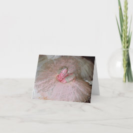 De Pruim van de suiker Feestdagen Kaart