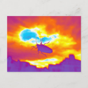 De Psychedelic Bug Briefkaart