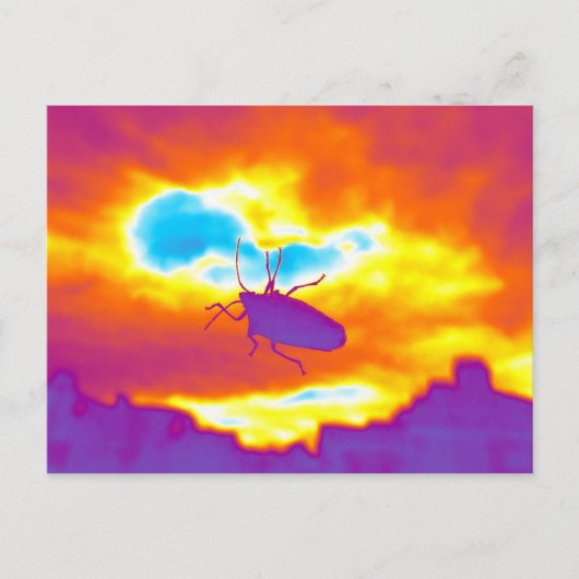 De Psychedelic Bug Briefkaart (Voorkant)