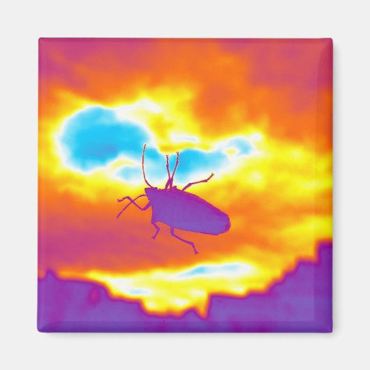 De Psychedelic Bug Magneet (Voorkant)