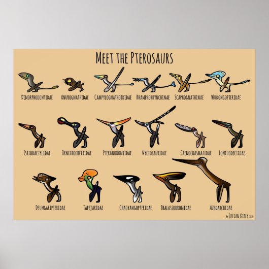 De Pterosauriërs ontmoeten Poster (Voorkant)