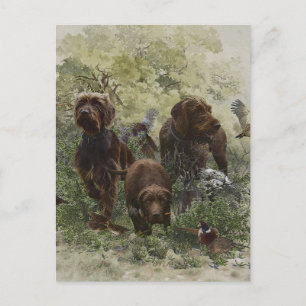 De Pudelpointer Briefkaart