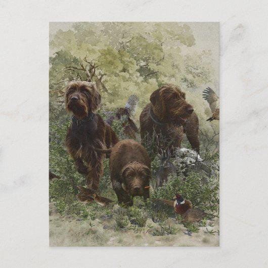 De Pudelpointer Briefkaart (Voorkant)