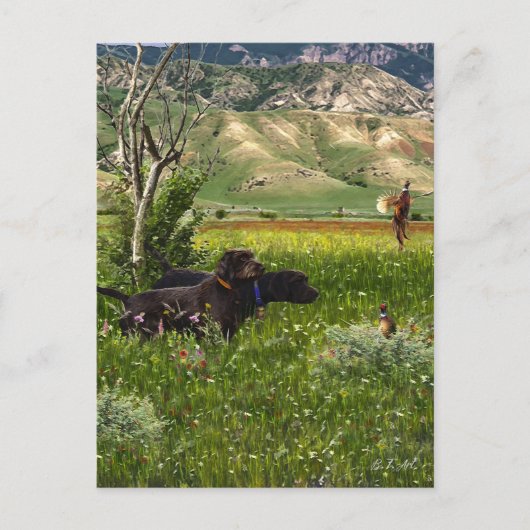 De Pudelpointer Briefkaart (Voorkant)