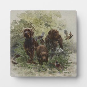 De Pudelpointer Fotoplaat