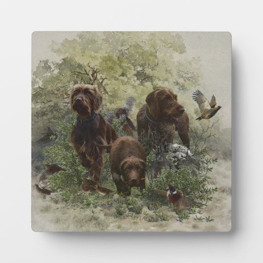 De Pudelpointer Fotoplaat (Voorkant)