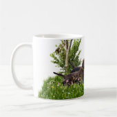 De Pudelpointer Koffiemok (Links)