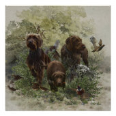 De Pudelpointer Perfect Poster (Voorkant)