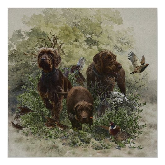 De Pudelpointer Perfect Poster (Voorkant)