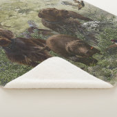 De Pudelpointer Sherpa Deken (3/4)