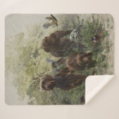 De Pudelpointer Sherpa Deken (Voorkant (horizontaal))