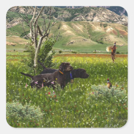 De Pudelpointer Vierkante Sticker